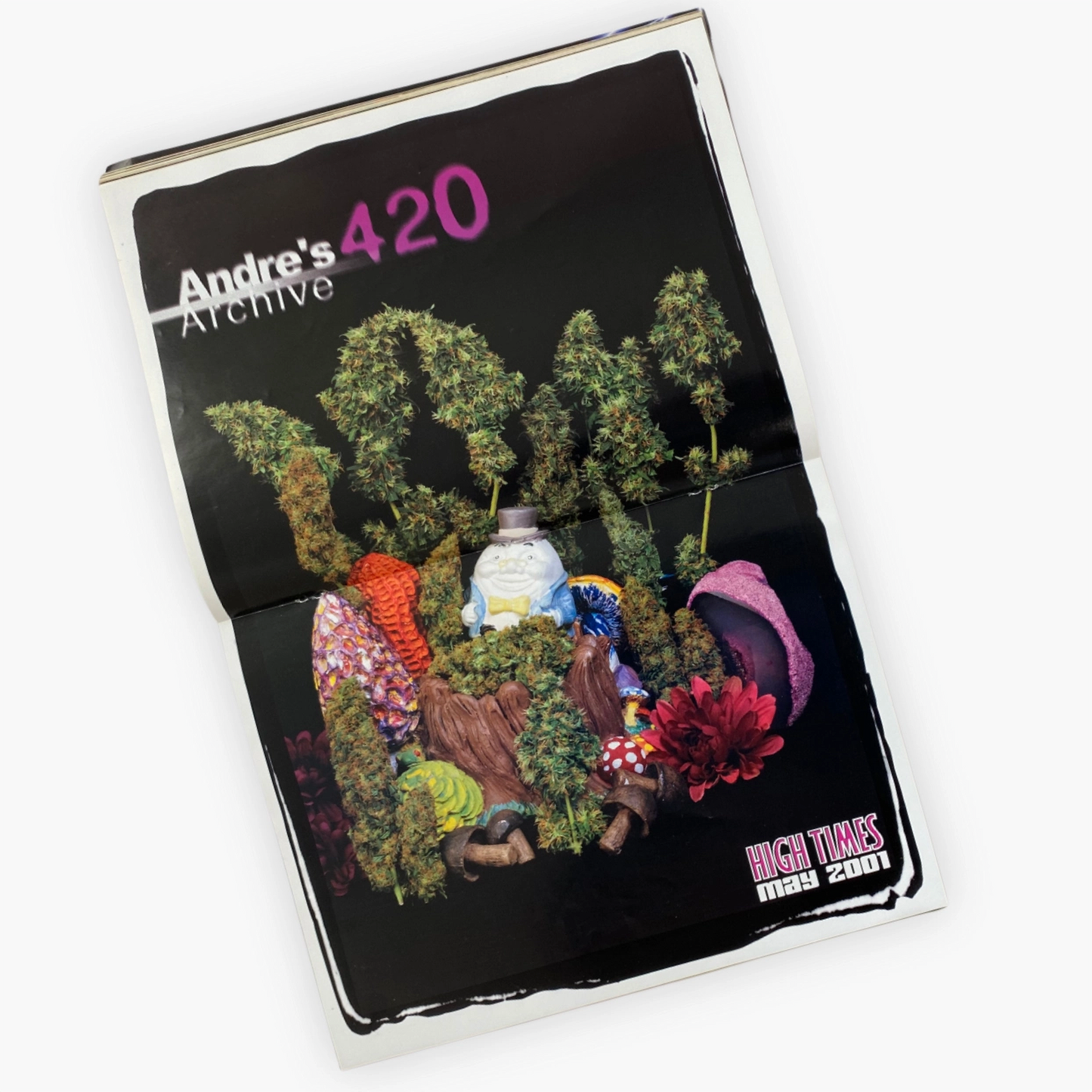 2001 HIGH TIMES MAGAZINE