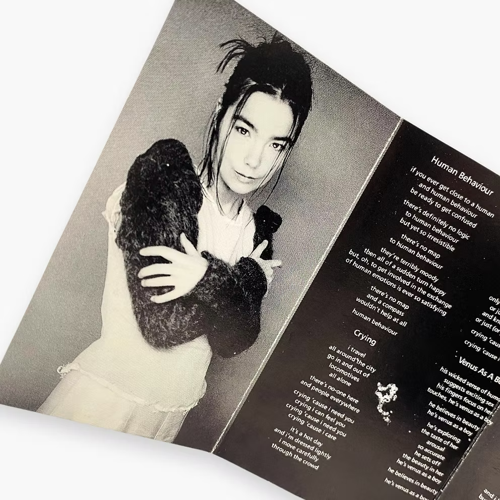 1993 BJÖRK 'DEBUT' CASSETTE | OS